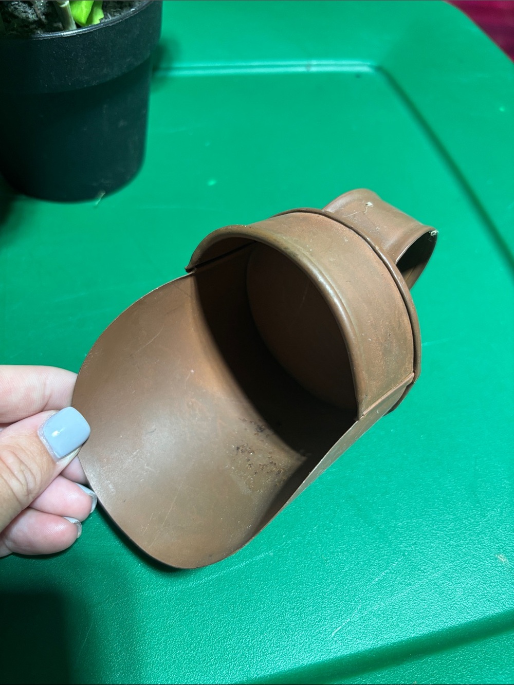 Decorative Scoop